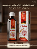 شربت خونساز پلاس حکیم (تکی)